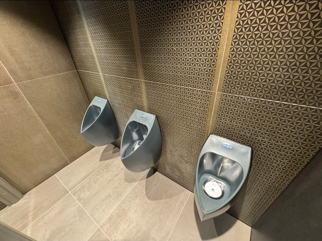 משתנות ללא מים כהות עם קיר דקורטיבי