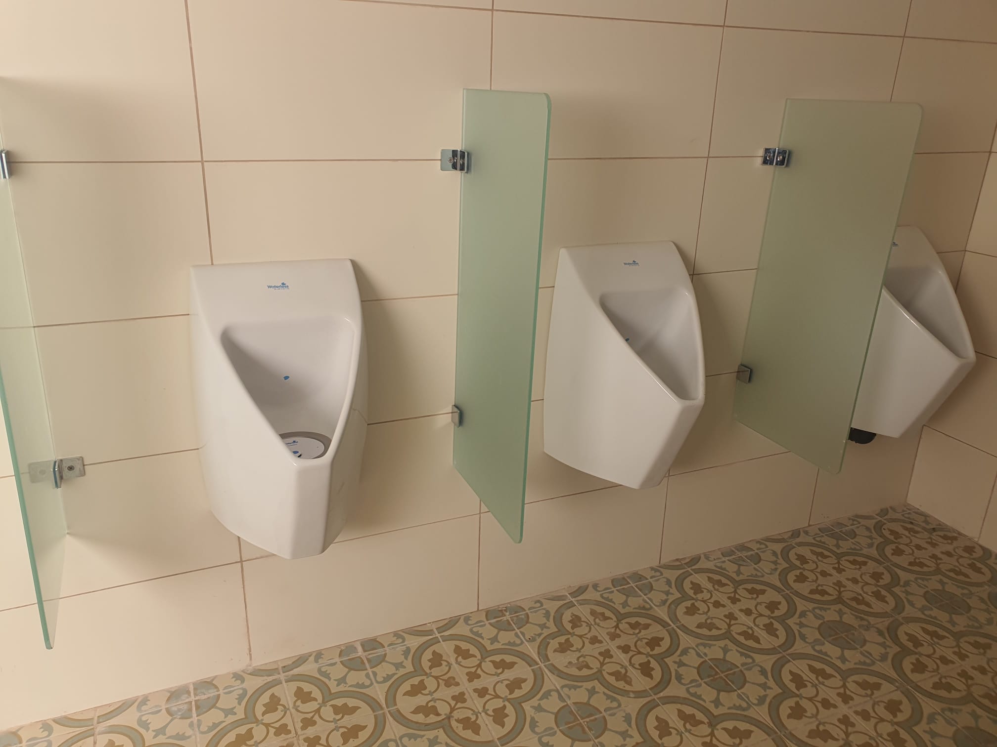 משתנות ללא מים לבנות עם מחיצות זכוכית